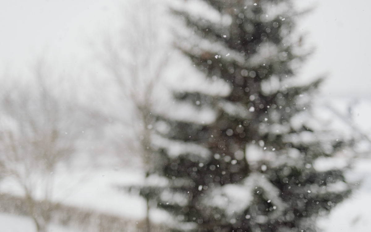 After the Storm: How to Protect Your Property